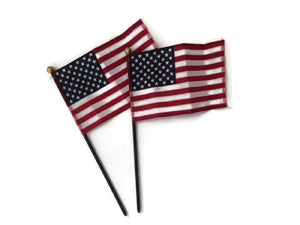 Military Veterans American Patriotic Party Bundle USA Flag Eagle Koozie, Plate, Decal etc.